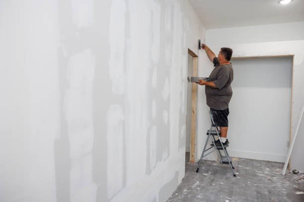 Best Mold Odor Removal Services  in Rockton, IL