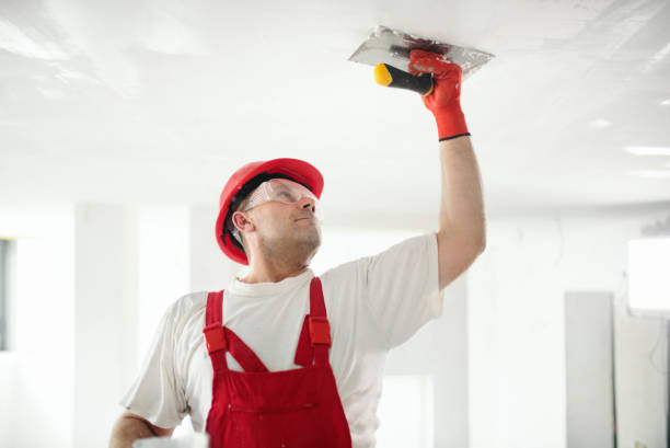 Biohazard Mold Removal in Rockton, IL