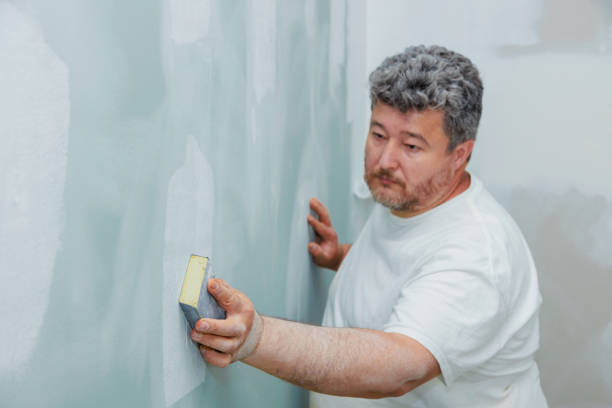 Best Emergency Mold Remediation  in Rockton, IL