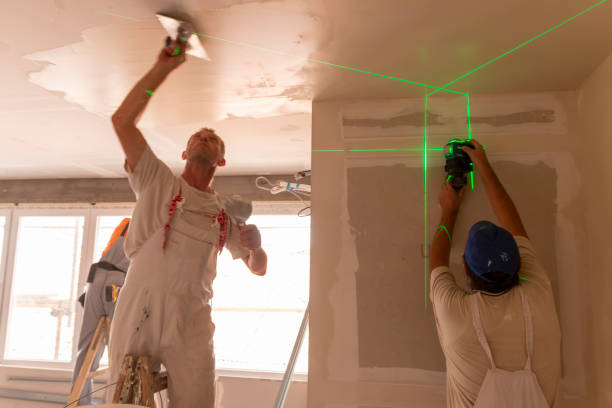 Best Industrial Mold Remediation  in Rockton, IL