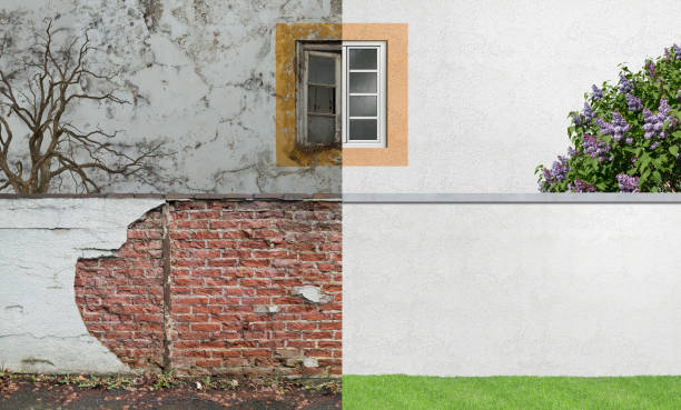 Best Mold Remediation for Healthcare Facilities  in Rockton, IL