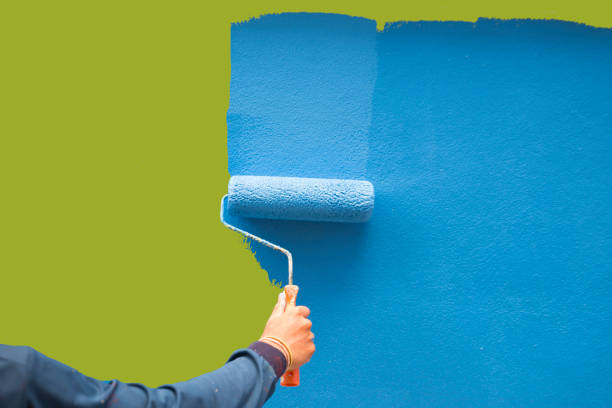Trusted Rockton, IL Mold Removal Experts