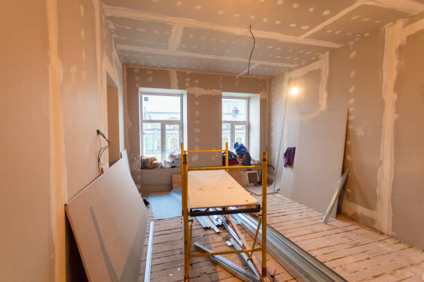 Best Environmental Consulting for Mold Prevention  in Rockton, IL