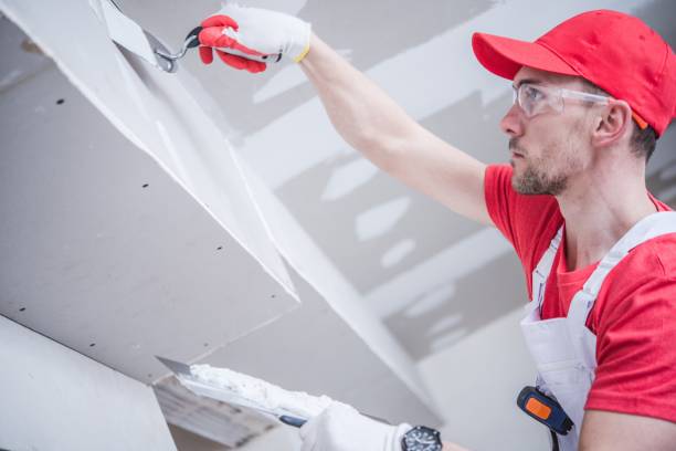 Best Mold Remediation for Healthcare Facilities  in Rockton, IL